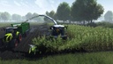 Professional-Farmer--Cattle-and-Crops-gravidus-9863_7.jpg