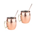 2er-Set-Mule-Becher-mit-Trinkhalmen-gravidus-9877_3.jpeg