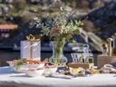 Nature-Schnapsglas-Set-gravidus-10255_6.jpg