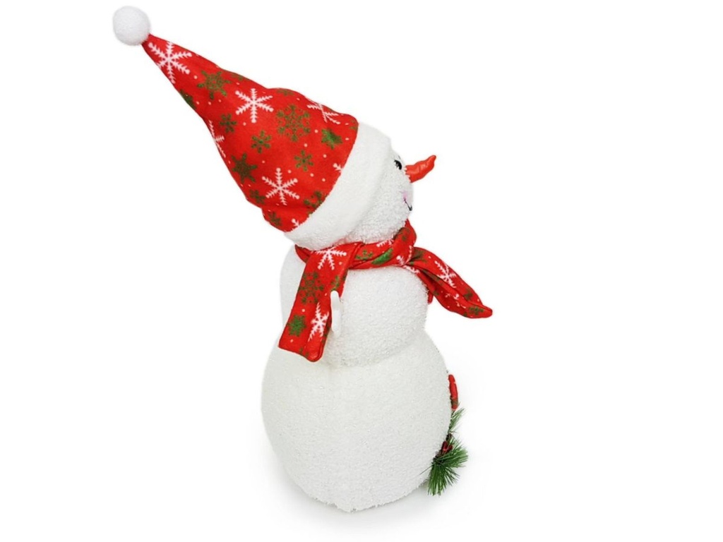 Schneemann--1-gravidus-10476_1.jpg
