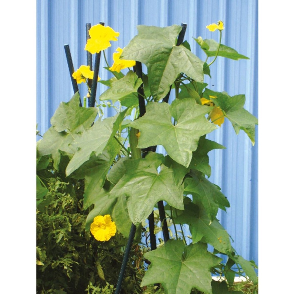 Pflanzstab-120-cm-gravidus-11289_1.jpg