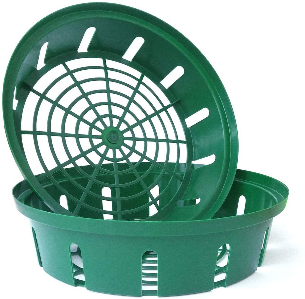 Pflanzkorb-fuer-Zwiebelpflanze---21-7-cm-gravidus-11497.jpg