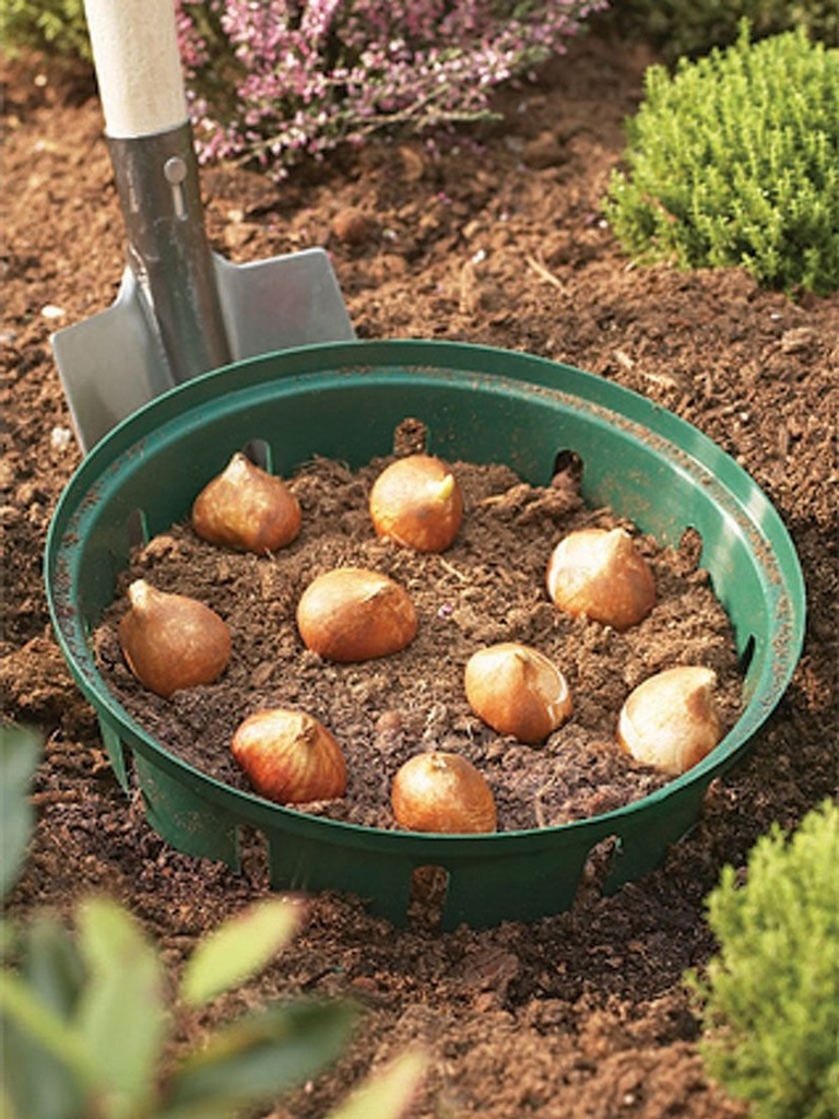 Pflanzkorb-fuer-Zwiebelpflanze---21-7-cm-gravidus-11497_1.jpg