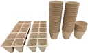 67-tlg--Anzucht-Set-gravidus-11498_1.jpg
