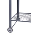 Mobiler-Pflanztisch-DIANA-gravidus-11627_3.jpg