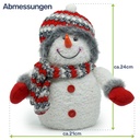 4er-Set-Stimmungsvolle-Weihnachtsdekoration-Weihnachtsbeleuchtung--LED-Sternenvorhang--LED-Schneemaenner--Weihnachtsdekoration-innen--warmweiss--batteriebetrieben--Autotimer--Weihnachts_6.jpg