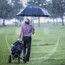 Grosser-Golfschirm-Regenschirm-Stockschirm-Schirm-Fiberglas-Automatik-XXL-132-cm-Fiberglas--sturmfest--windfest--Fiberglas-Gestell--Automatik-Auf--Golfschirm--Regenschirm--Stockschirm--S_5.jpg