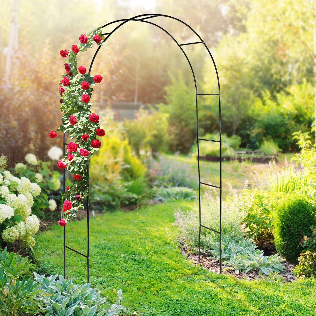 Rosenbogen-Torbogen-Rankbogen-Rankhilfe-Pergola-Rankgitter-Ranksaeule-Spalier-Rosenbogen--Torbogen--Rankbogen--Rankhilfe--Pergola--Rankgitter--Ranksaeule--Spalier--Bogen--Rankpflanze--St_2.jpg