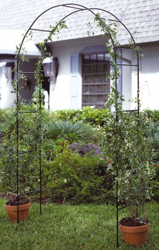 Rosenbogen-gravidus-1995.jpg