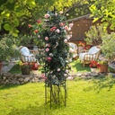Rankhilfe-Rankgitter-Rosensaeule-Rosenbogen-Rosenhilfe-Rosenturm-Pergola-Rankhilfe--Rankgitter--Rosensaeule--Rosenbogen--Rosenhilfe--Rosenturm--Pergola--Rankpflanze-gravidus-2808_3.jpg