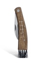 Pilzmesser-im-Futteral-gravidus-3947_2.jpg