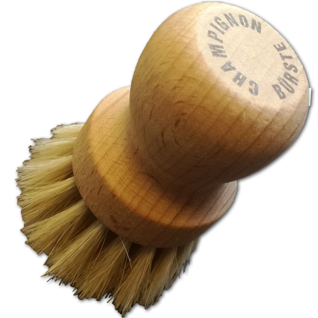 Champignonbuerste-gravidus-5268.jpg