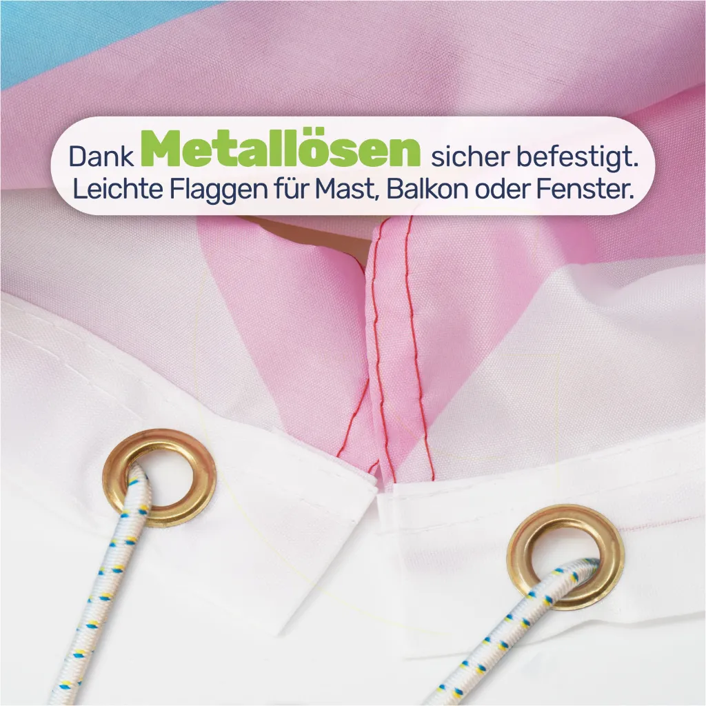 9---LGBTQ+-Flagge-150x90cm-mit-Ösen-–-8-Varianten-zur-Auswahl---Leasbian.webp