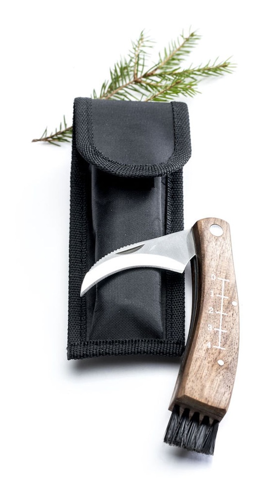 [8308] Pilzmesser Pilz Schneider Bürste Tasche im Futteral Walnuss Holz